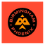 Birmingham Phoenix (Women) Flag