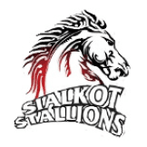 Team logo