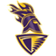 Los Angeles Knight Riders Flag