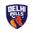 Delhi Bulls-logo